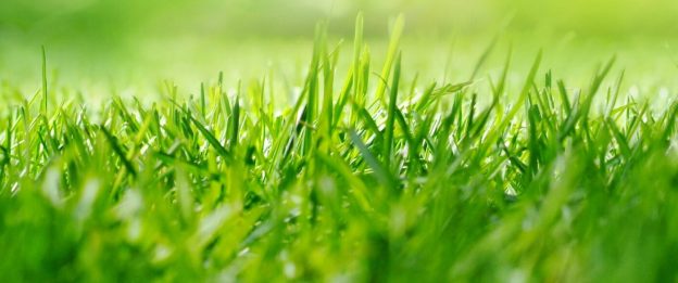 shutterstock_292882787 – banner shutterstock_292882787 - banner